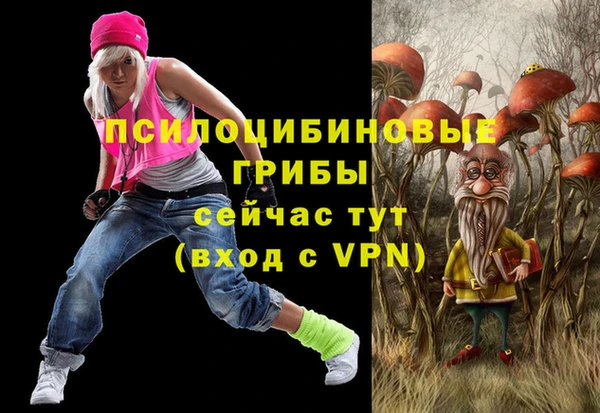 хмурый Туринск