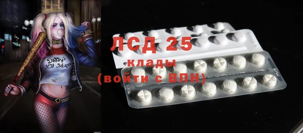соль ск Белокуриха