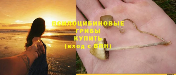 соль ск Белокуриха