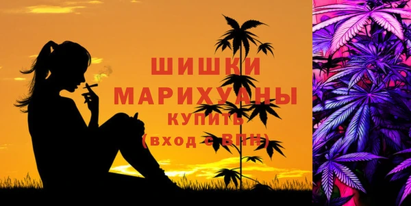 соль ск Белокуриха