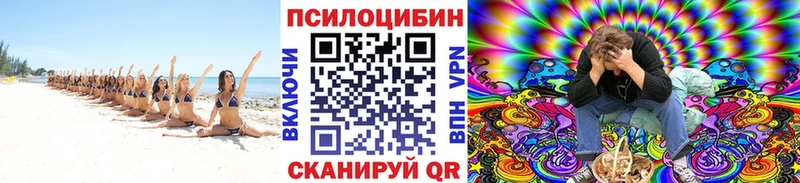 закладки Бугульма Галлюциногенные грибы MAGIC MUSHROOMS
