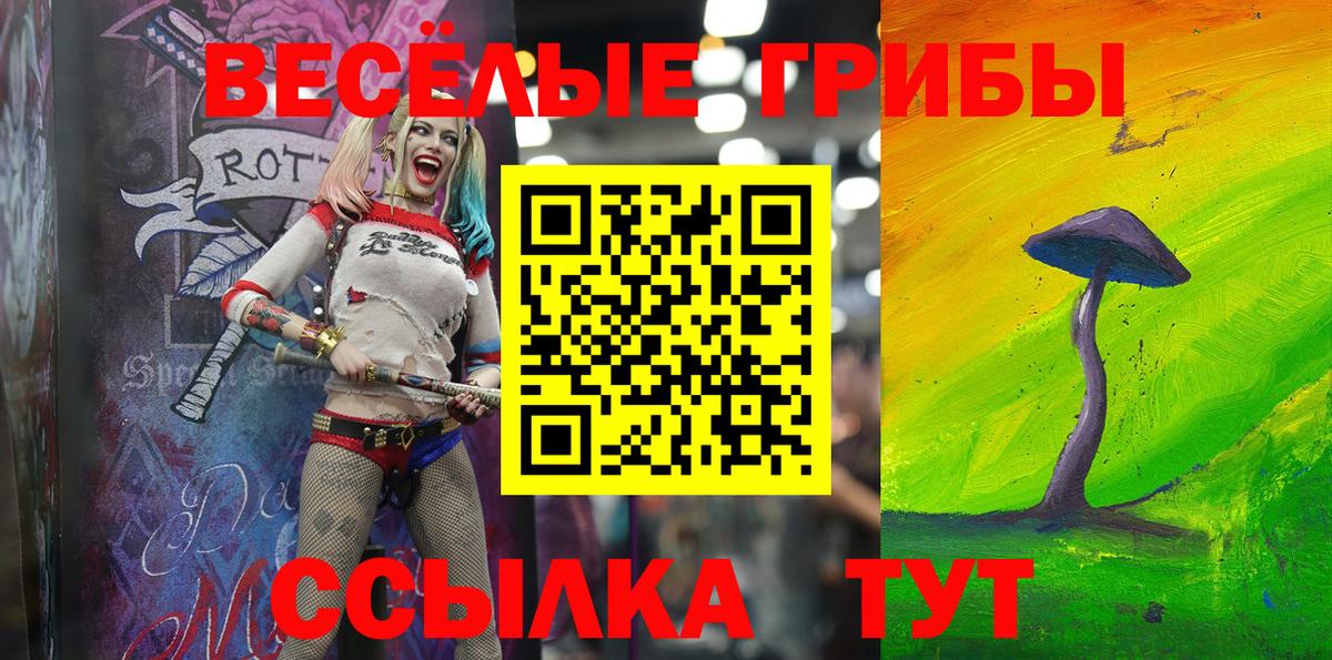 Псилоцибиновые грибы ЛСД Бугульма