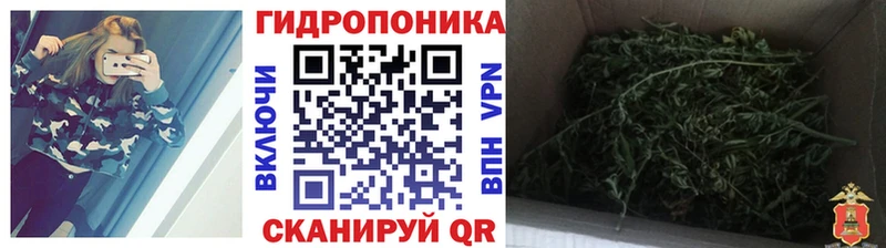 МАРИХУАНА сатива  Бугульма 